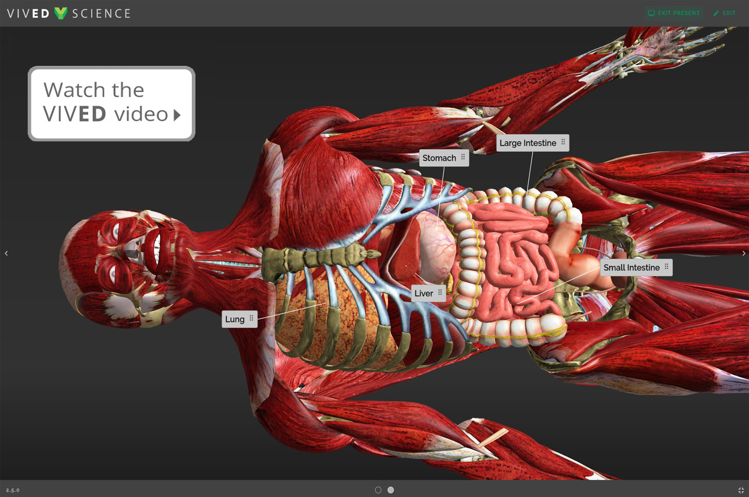 3D human body model 3D human body model